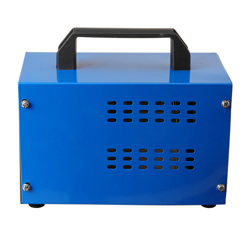 220v 20-48g/h Ozone Generator Air Disinfection Machine