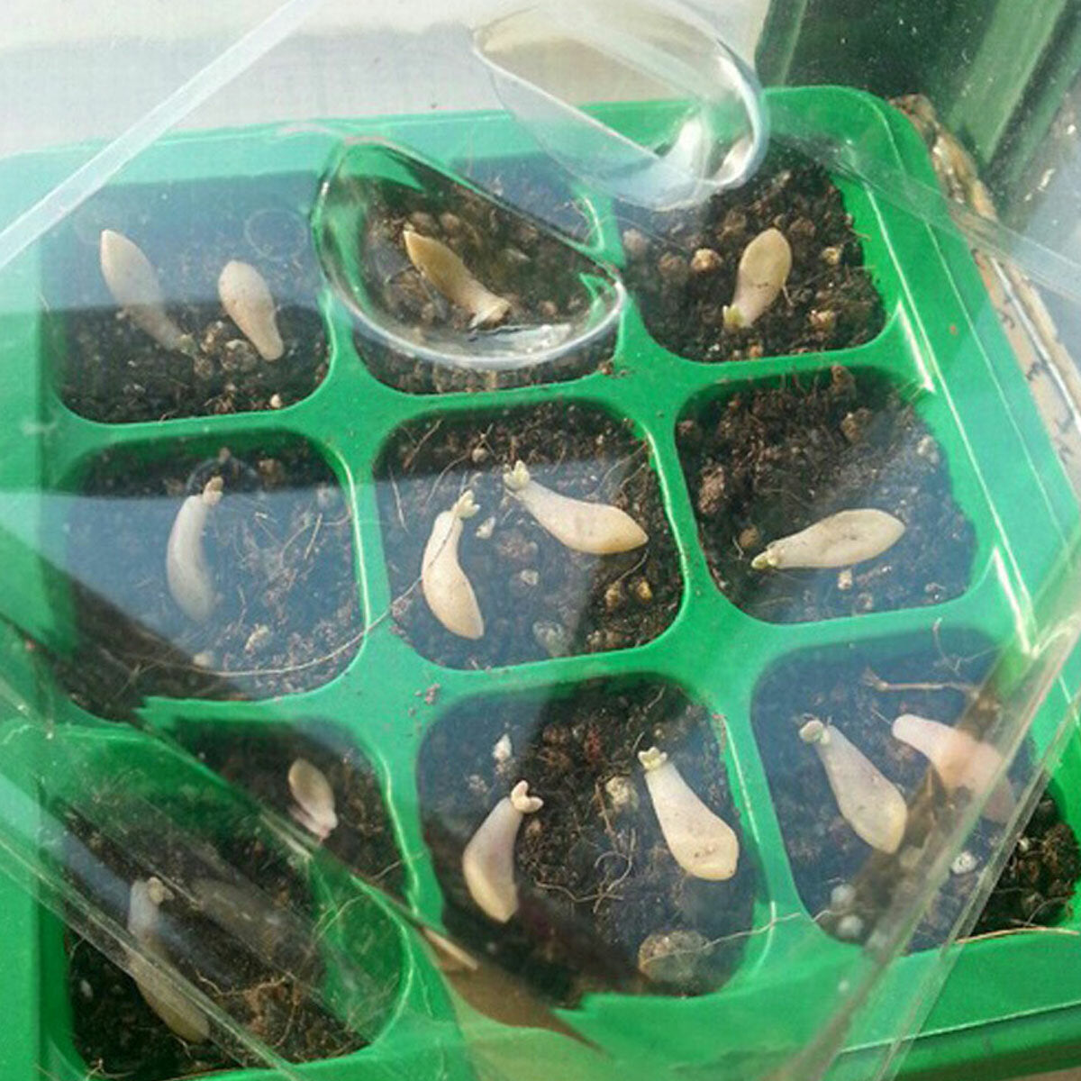 9 Holes Plastic Planting Box Set Nursery Pot Plant Grow