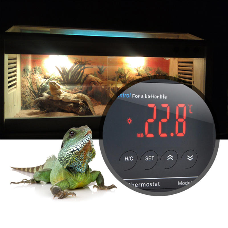 Adjustable Electronic Thermostat Digital Temperature