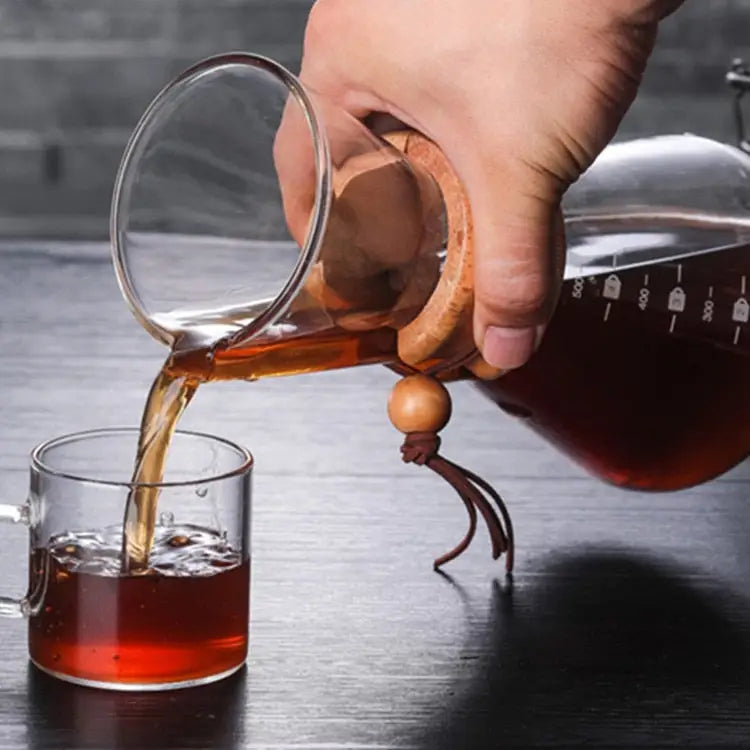 Glass Coffee Kettle Stainless Steel Brewer