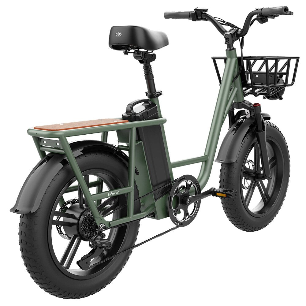 FIIDO T1 48V 20AH 750W 20*4.0in Electric Bicycle 150 KM Mileage 150 KG Payload Mechanical Disc Brake Electric Bike