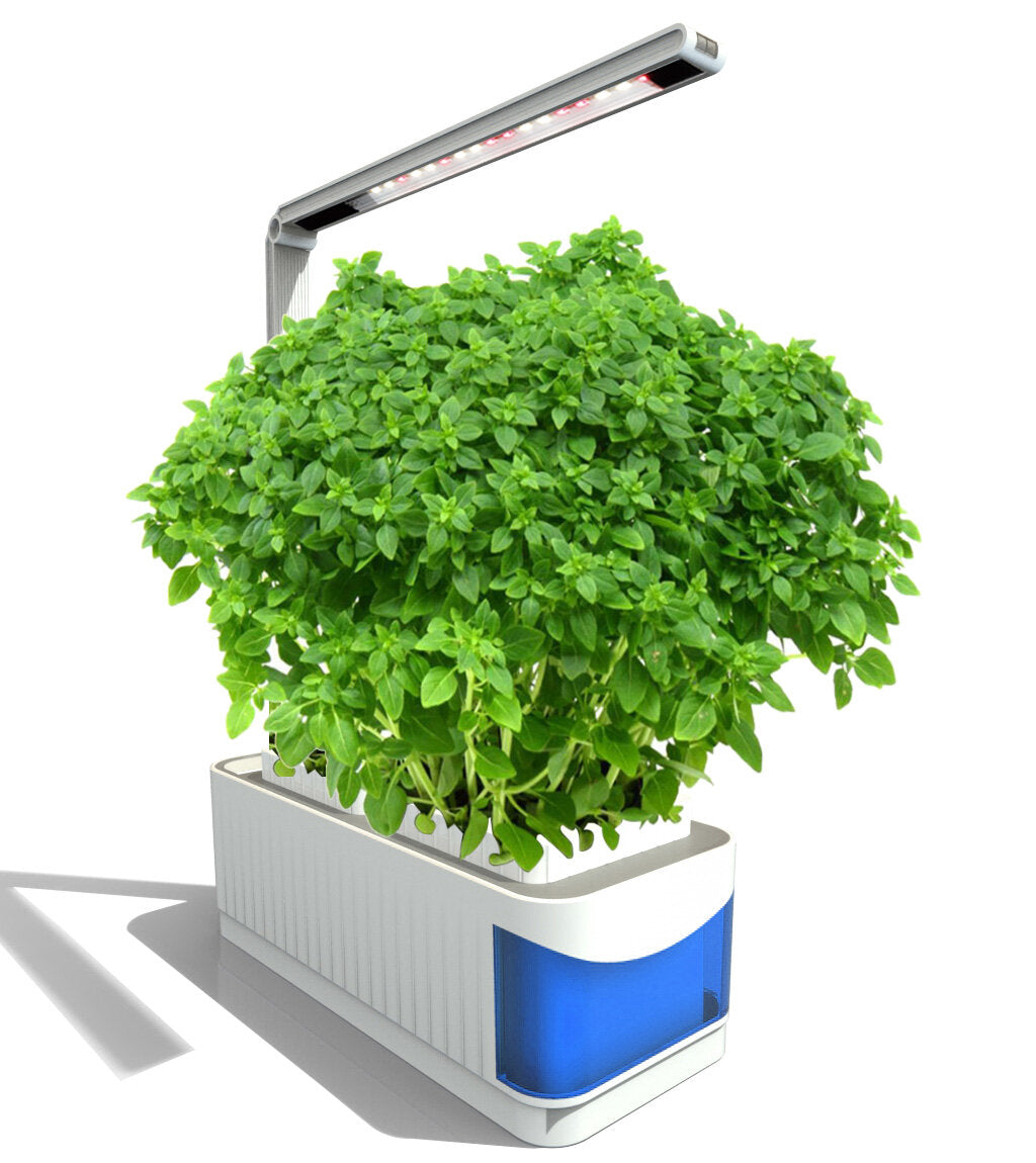 Blue Intelligent Plant Lamp 8W Home And Office Indoor Planting European / American / British Regulations Smart Plant Light