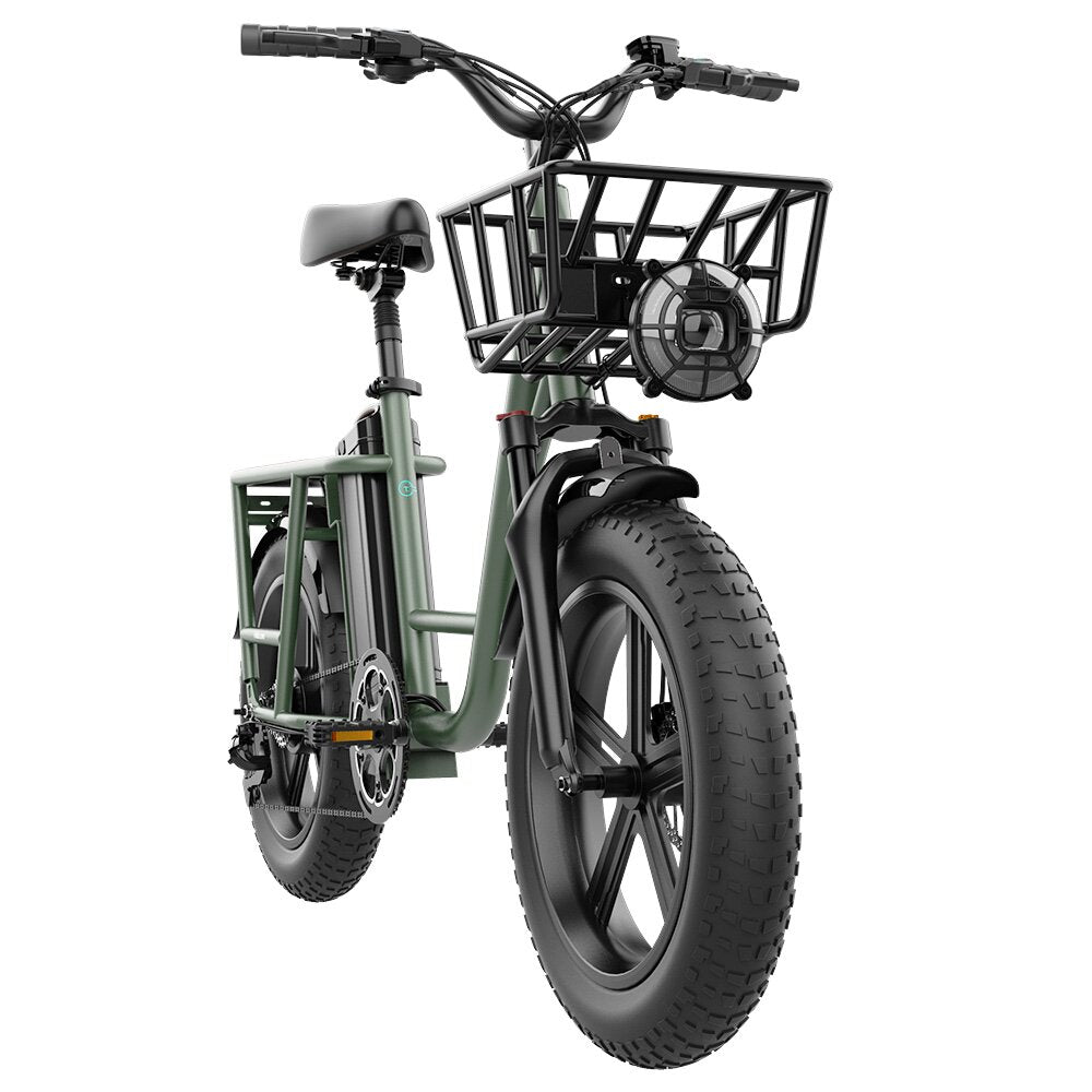 FIIDO T1 48V 20AH 750W 20*4.0in Electric Bicycle 150 KM Mileage 150 KG Payload Mechanical Disc Brake Electric Bike