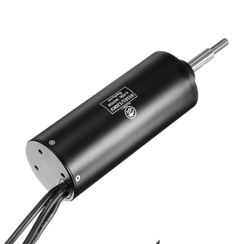 Flipsky 65161 120KV 6000W Threaded Shaft Brushless Motor Amphibious Waterproof for Efoil/Ejet boards/Ebike