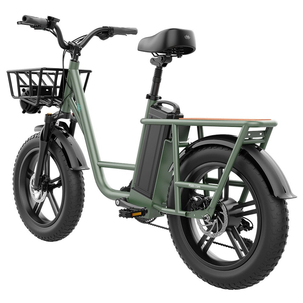 FIIDO T1 48V 20AH 750W 20*4.0in Electric Bicycle 150 KM Mileage 150 KG Payload Mechanical Disc Brake Electric Bike
