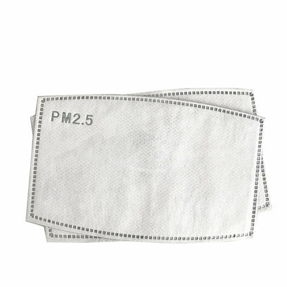 10pcs Pm2.5 Filter Mask Pad Anti Haze Mouth Dust Health Care