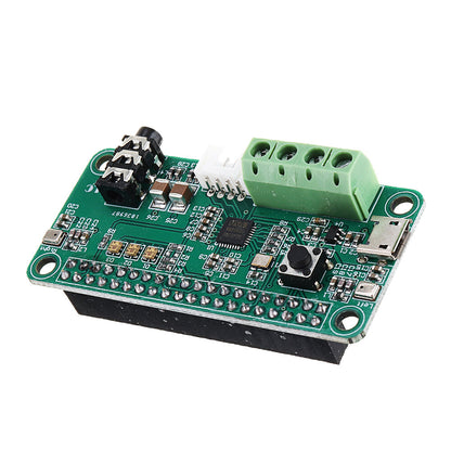 WM8960 Intelligent Voice Recognizer Audio Decoder Module Stereo 1W Amplifier Dual MIC Input