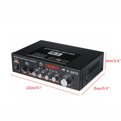 Intelligent Digital Power Amplifier Mini Power Amplifier Household Vehicle Dual Purpose 110-220V Vehicle DC12-24V