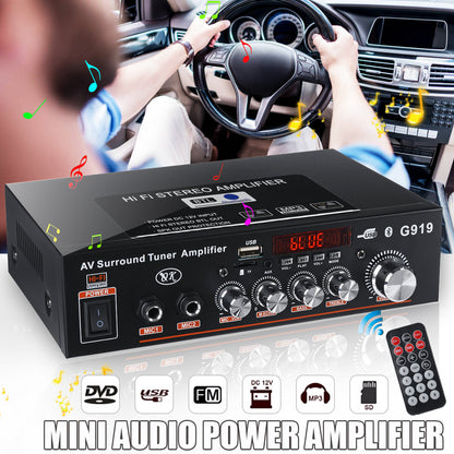 Intelligent Digital Power Amplifier Mini Power Amplifier Household Vehicle Dual Purpose 110-220V Vehicle DC12-24V