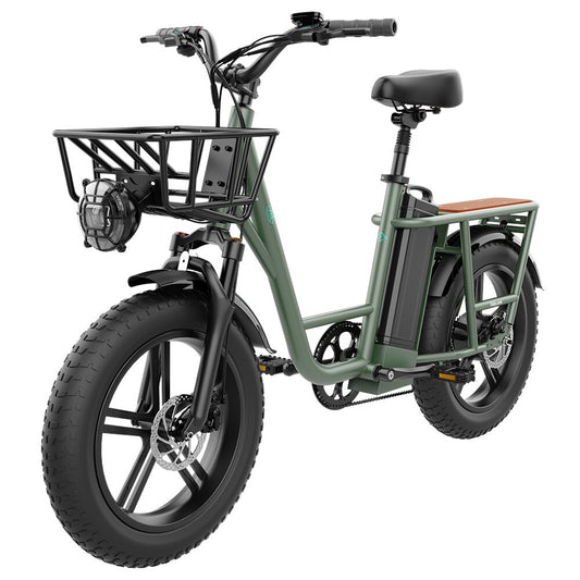 FIIDO T1 48V 20AH 750W 20*4.0in Electric Bicycle 150 KM Mileage 150 KG Payload Mechanical Disc Brake Electric Bike