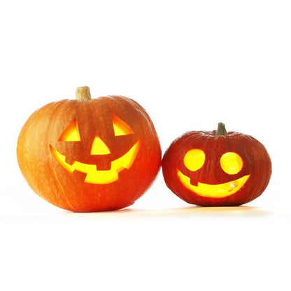 Halloween Pumpkin Carving Tools 5 Piece Set Halloween Carving Kit 5 Carving Tools Kids and Party